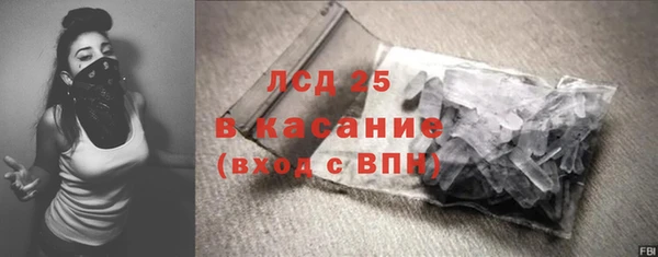 индика Магас
