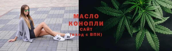индика Магас