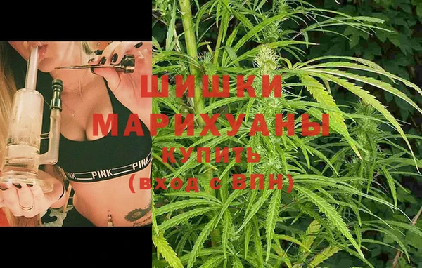 индика Магас
