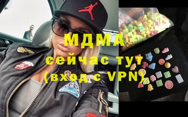 индика Магас