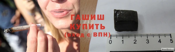 индика Магас