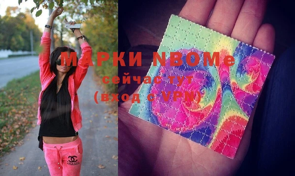 индика Магас