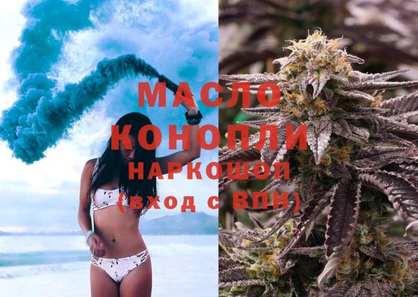 индика Магас