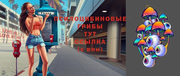 индика Магас