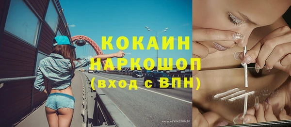 индика Магас